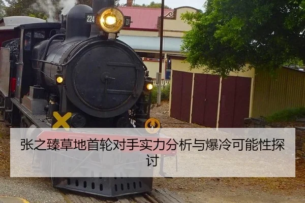 张之臻草地首轮对手实力分析与爆冷可能性探讨